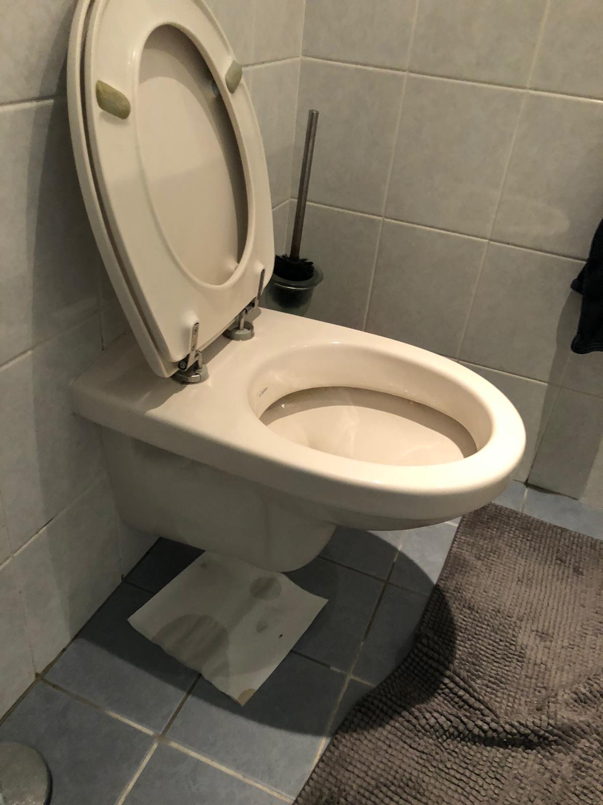 hangtoilet Oegstgeest